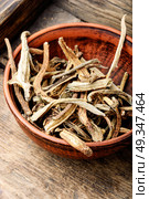 Medicinal root inula. Medicinal raw materials from roots and rhizomes inula.Root elecampane. Стоковое фото, агентство Ingram Publishing / Фотобанк Лори
