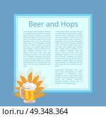 Beer and Hops Poster with Foamy Mug and Wheat Ears. Beer and hops poster with inscription and blue background. Isolated vector illustration of full foamy mug and ripe wheat ears behind. Стоковая иллюстрация, агентство Ingram Publishing / Фотобанк Лори