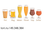 Pint and Mug, Weizen Vector Illustration on White. Pint and mug, weizen and pilsner, tulip and snifter, types of glasses used for beer vector illustration isolated on white background. Стоковая иллюстрация, агентство Ingram Publishing / Фотобанк Лори