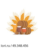 Beer Digustation at Octoberfest Vector Illustation. Beer degustation vector illustration on white background. Wooden barrels and three glasses of beverage, draught pale and dark beers on ears of wheat. Стоковая иллюстрация, агентство Ingram Publishing / Фотобанк Лори