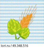 Hop and Golden Ears of Wheat Vector Illustrations. Green hop and golden ears of wheat vector on checkered background. Plants cultivated for use by brewing industry, flavor ingredients in beer. Стоковая иллюстрация, агентство Ingram Publishing / Фотобанк Лори