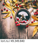 Mug of herbal hawthorn tea with red autumn berries and fall leaves on rustic wooden background, top view. Стоковое фото, агентство Ingram Publishing / Фотобанк Лори