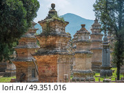 Forest pagodas of the Shaolin Monastery. China. Forest pagodas of the Shaolin Monastery. Стоковое фото, агентство Ingram Publishing / Фотобанк Лори