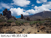 Echium wildpretii .Famous Finger Of God rock in Teide national park. Tenerife island - Canary, Spain. Famous Finger Of God rock . Стоковое фото, агентство Ingram Publishing / Фотобанк Лори