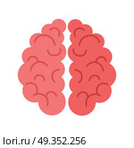 Human Brain Isolated on White Background.. Human brain isolated on white background. Sign of mind in cartoon style. Human anatomy. Mental element. Medicine and science. Brainstorm symbol. Educational concept. Vector illustration in flat style. Стоковая иллюстрация, агентство Ingram Publishing / Фотобанк Лори
