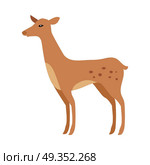 Fawn Isolated. Junior Verdant Young Spotted Deer. Fawn isolated on white. Junior verdant young brown spotted deer. Ruminant mammals forming family Cervidae. Little inexperienced fawn in its first year. Cartoon illustration. Herbivore creature. Vector. Стоковая иллюстрация, агентство Ingram Publishing / Фотобанк Лори