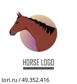 Sorrel Horse Logo. Sorrel horse logo vector. Flat design. Domestic animal. Country inhabitants concept. For farming, animal husbandry, horse sport illustrating. Agricultural species. Isolated on white. Стоковая иллюстрация, агентство Ingram Publishing / Фотобанк Лори