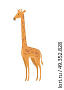 Giraffe Giraffa Camelopardalis Cartoon Animal. Giraffe Giraffa camelopardalis cartoon animal isolated on white. African even toed ungulate mammal, the tallest living terrestrial animal and the largest ruminant. Sticker for children. Vector. Стоковая иллюстрация, агентство Ingram Publishing / Фотобанк Лори