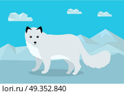Polar fox on snowy mountains background. Flat style vector. Wild predatory animal. North fauna species in habitat. For nature concepts, children’s books illustrating, printing materials. Polar Fox Vector Illustration in Flat Design. Polar Fox Vector Illustration in Flat Design. Стоковая иллюстрация, агентство Ingram Publishing / Фотобанк Лори