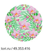 Floral background with pink watercolor orchids and green palm branch. Hand drawn tropical background. Floral background with pink watercolor orchids . Стоковое фото, агентство Ingram Publishing / Фотобанк Лори