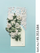 Opened envelope with white flowers and blossom arrangements on pastel blue background, top view. Festive greeting concept. Invitation or card for wedding, birthday and other holidays. Стоковое фото, агентство Ingram Publishing / Фотобанк Лори