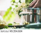 Elder flower syrup  or jam cooking. Close up of female hand with Elderflowers  and pot on kitchen table at window. Home lifestyle. Стоковое фото, агентство Ingram Publishing / Фотобанк Лори