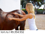 Blond girl cleaning horse with sweat scraper. Blond girl cleaning brown horse with sweat scraper tool on white wall. Стоковое фото, агентство Ingram Publishing / Фотобанк Лори