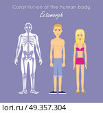 Constitution of Human Body. Ectomorph. Ectomorphic. Constitution of human body. Ectomorph. Ectomorphic type characterized as linear thin usually tall fragile lightly muscled, flat chested and delicate. Person desire isolation, solitude and concealment. Стоковая иллюстрация, агентство Ingram Publishing / Фотобанк Лори