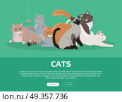 Cat Breeds Cute Pet Animal Set Vector Web Banner.. Cat breeds cute pet animal set vector web banner. Flat design. Cats in different poses sitting, standing, stretching, playing, lying. For veterinary clinic, pet shop advertising. Collection of kittens. Стоковая иллюстрация, агентство Ingram Publishing / Фотобанк Лори