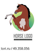 Rearing Pinto Horse Illustration in Flat Design. Rearing pinto horse with hind legs vector logo. Flat design. Domestic animal. Country inhabitants. For farming, animal husbandry, horse sport illustrating. Agricultural species. Isolated on white. Стоковая иллюстрация, агентство Ingram Publishing / Фотобанк Лори