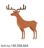 Deer in Flat Style Isolated on White. Deer isolated on white. Two main groups Cervinae, including muntjac, fallow deer and chital, and Capreolinae, including reindeer caribou, Western roe deer, and Eurasian elk moose. Cartoon deer. Vector. Стоковая иллюстрация, агентство Ingram Publishing / Фотобанк Лори