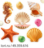 Shell, snail, mollusk, starfish, sea horse. 3d icon set. Стоковая иллюстрация, агентство Ingram Publishing / Фотобанк Лори
