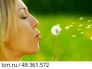 The girl blows on a dandelion on a background of a grass. Spring entertainments. Стоковое фото, агентство Ingram Publishing / Фотобанк Лори
