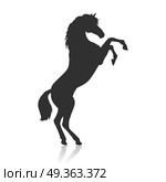 Rearing Pinto Horse Illustration in Flat Design. Black horse with hind legs vector. Flat design. Domestic animal. Country inhabitants concept. For farming, animal husbandry, horse sport illustrating. Agricultural species. Isolated on white. Стоковая иллюстрация, агентство Ingram Publishing / Фотобанк Лори