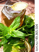 Jam from fresh mint. Aromatic curative jam from fresh mint leaves.Peppermint jelly. Стоковое фото, агентство Ingram Publishing / Фотобанк Лори