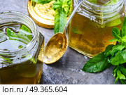 Jam from fresh spearmint. Aromatic curative jam from fresh mint leaves.Peppermint jelly.Green herbal tea. Стоковое фото, агентство Ingram Publishing / Фотобанк Лори