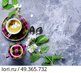 Herbal tea with jasmine. Teacup with tea from jasmine flowers.Green tea. Стоковое фото, агентство Ingram Publishing / Фотобанк Лори