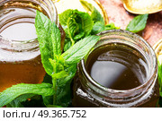 Jam from fresh spearmint. Aromatic curative jam from fresh mint leaves.Peppermint jelly. Стоковое фото, агентство Ingram Publishing / Фотобанк Лори