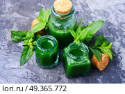 Mint essence oil in a small bottle and fresh leaves.Healing plants. Aroma oil with peppermint. Aroma oil with peppermint. Стоковое фото, агентство Ingram Publishing / Фотобанк Лори