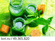 Mint essential oil in a glass bottle.Herbal medicine. Natural mint essential oil. Natural mint essential oil. Стоковое фото, агентство Ingram Publishing / Фотобанк Лори