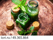 Mint essential oil in a glass bottle.Healing plants. Aroma oil with peppermint. Aroma oil with peppermint. Стоковое фото, агентство Ingram Publishing / Фотобанк Лори