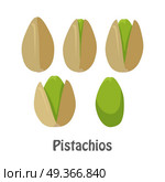 Pistachio Nuts and Pistachio Kernels. Pistachio nuts and pistachio kernels. Set of pistachios nuts. Ripe pistachios nuts in flat. Several pistachio nuts, close up. Healthy vegetarian food. Isolated vector illustration on white background. Стоковая иллюстрация, агентство Ingram Publishing / Фотобанк Лори