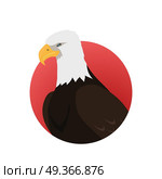 Bald Eagle Flat Design Vector Illustration. Bald eagle vector. Predatory birds wildlife concept in flat style design. North America fauna illustration. Picture for national symbolics, encyclopedia, books illustrating. Isolated on white. Стоковая иллюстрация, агентство Ingram Publishing / Фотобанк Лори