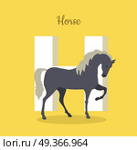 Animal alphabet vector concept. Flat style. ABC with domestic animal. Prancing horse standing on yellow background, letter H behind. Educational glossary. For children s book, textbook illustrating. Animal Alphabet Concept in Flat Design. Animal Alphabet Concept in Flat Design. Стоковая иллюстрация, агентство Ingram Publishing / Фотобанк Лори