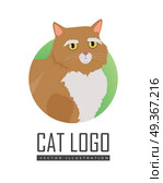 Munchkin cat Vector Flat Design Illustration. Munchkin cat breed. Cute red short-legged cat with raised tail flat vector illustration isolated on white background. Domestic friend and companion animal. For pet shop ad, hobby concept, breeding. Стоковая иллюстрация, агентство Ingram Publishing / Фотобанк Лори