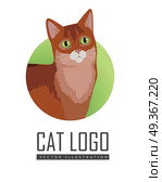 Somali Cat Vector Flat Design Illustration. Somali cat breed. Cute fluffy red cat standing flat vector illustration isolated on white background. Purebred pet. Domestic friend and companion animal. For pet shop ad, hobby concept, breeding. Стоковая иллюстрация, агентство Ingram Publishing / Фотобанк Лори