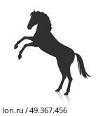 Rearing Grey Horse Illustration in Flat Design. Rearing horse with hind legs vector logo. Flat design. Domestic animal. Country inhabitants. For farming, animal husbandry, horse sport illustrating. Agricultural species. Isolated black on white. Стоковая иллюстрация, агентство Ingram Publishing / Фотобанк Лори