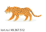 Jaguar, Wild Cat Panther Isolated on White.. Jaguar, wild cat Panther isolated on white. Cat family member. Spotted cat resemble to leopard. Big wild cat. Pantherinae jaguar. Compact and well-muscled animal. Flat style. Vector illustration. Стоковая иллюстрация, агентство Ingram Publishing / Фотобанк Лори