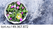 Natural herbs medicine. healing herbs thistle in mortar.Herbal medicine.Tea.Onopordum.Thistle.Natural herbal medicine. Стоковое фото, агентство Ingram Publishing / Фотобанк Лори