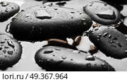 Black wet pebbles background wallpaper. Black wet pebbles background. Стоковое фото, агентство Ingram Publishing / Фотобанк Лори
