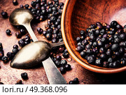 Bowl of juniper berries. Pile of dry juniper berries prepared for healing teas and extracts. Стоковое фото, агентство Ingram Publishing / Фотобанк Лори