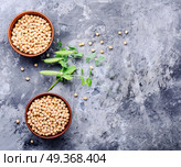 Chickpeas, the basis of vegetarian cuisine. Chickpea-for cooking traditional dishes of Middle Eastern cuisines.Healthy food. Стоковое фото, агентство Ingram Publishing / Фотобанк Лори