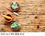 Euphorbia - an ancient means of folk medicine. Wild medicinal plant spurge, used in folk medicine. Стоковое фото, агентство Ingram Publishing / Фотобанк Лори