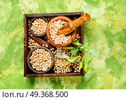 Chickpeas, the basis of vegetarian cuisine. Nut -afood product popular for cooking. Traditional dishes of Middle Eastern cuisines. Стоковое фото, агентство Ingram Publishing / Фотобанк Лори