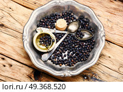 Pile of dry juniper berries. Pile of dry juniper berries prepared for healing teas and extracts. Стоковое фото, агентство Ingram Publishing / Фотобанк Лори