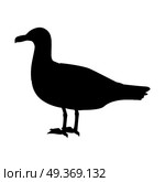 Gull Flat Design Vector Illustration. Gull vector. Sea bird wildlife in flat style design. Illustration for prints, vacation advertising, childrens books illustrating. Beautiful Seagull bird seating isolated on white. Стоковая иллюстрация, агентство Ingram Publishing / Фотобанк Лори