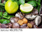 Mojito ingredients. Lime, mint and cane suga. Summer refreshing cocktail mojito. Стоковое фото, агентство Ingram Publishing / Фотобанк Лори