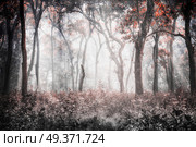 black and white and red photo. Chitwan National Park. The park is 932 sq. km, is mainly covered by jungle. Стоковое фото, агентство Ingram Publishing / Фотобанк Лори