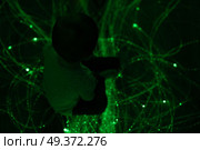 Young kid exploring snoezelen space. Young kid exploring a multi sensory space - snoezelen concept. Стоковое фото, агентство Ingram Publishing / Фотобанк Лори