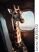A curious giraffe is peering out the window of a flying plane, observing the landscape below. Стоковое AI-изображение, AI-художник Данила Большаков / Фотобанк Лори